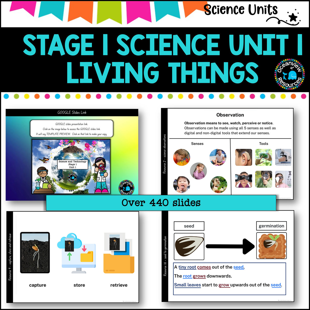 STAGE 1 UNIT 1 NSW Science Sample Teaching Pack- Living Things Years 1