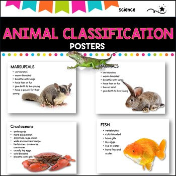 Classification of Animals Posters