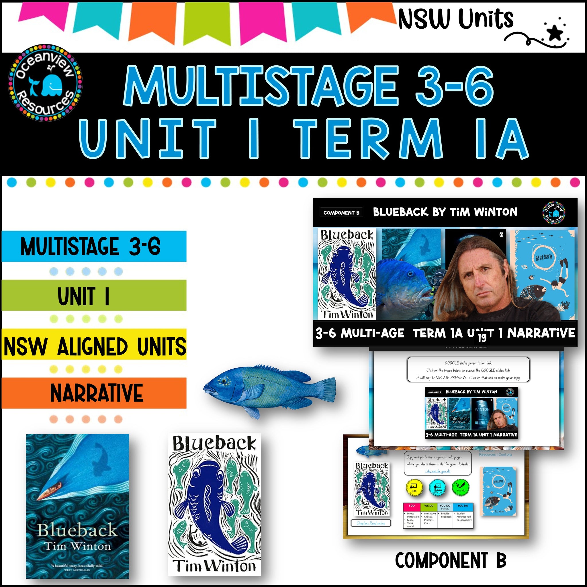 Multigrade 3-6 NSW DET Unit 1 BLUEBACK by Tim Winton Component B Term 1A