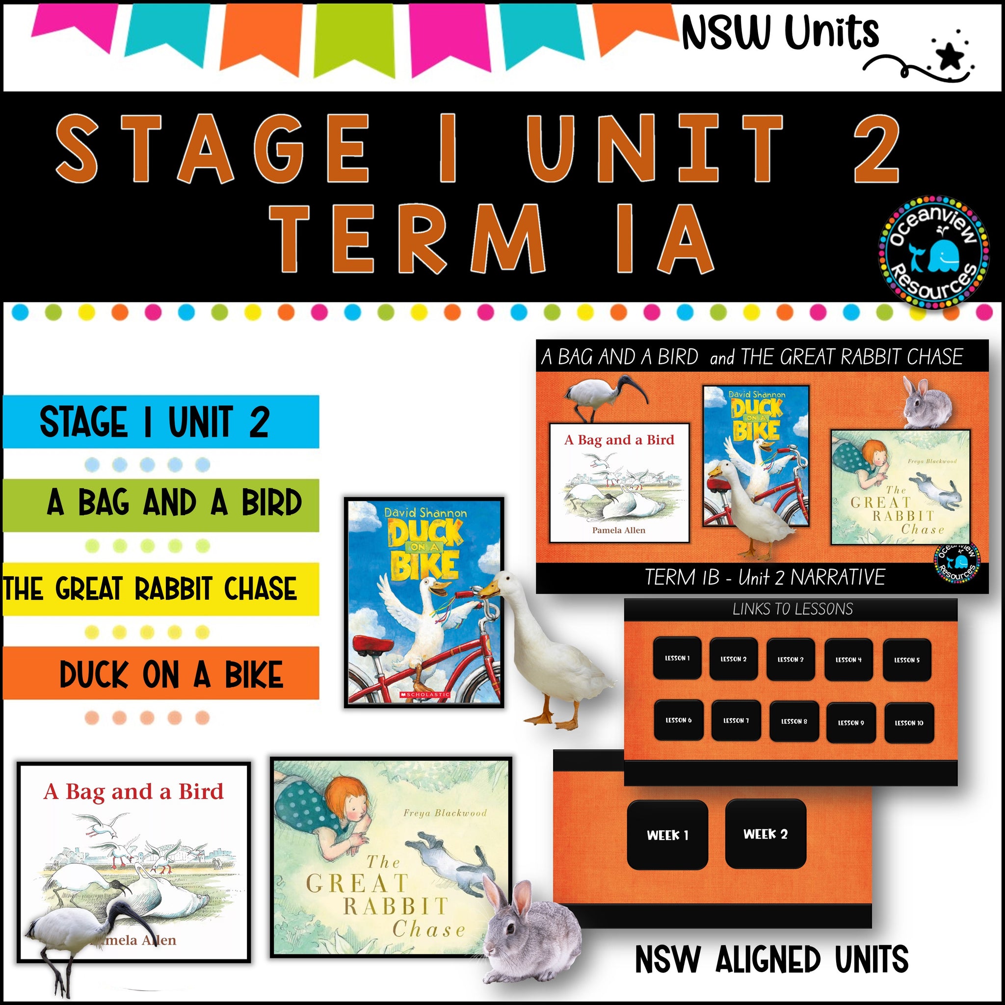 NSW DET Stage 1 English Unit 2 A BAG AND A BIRD Component B TERM 1A Narrative