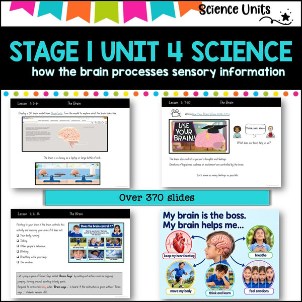 STAGE 1 UNIT 4 NSW aligned SCIENCE-how the brain processes sensory information
