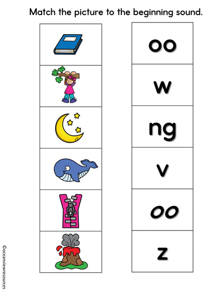 Phonics Bingo, peg cards, write the room, word match, worksheets Z W NG OO