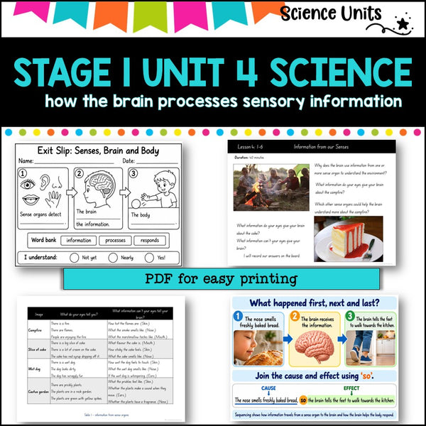 STAGE 1 UNIT 4 NSW aligned SCIENCE-how the brain processes sensory information