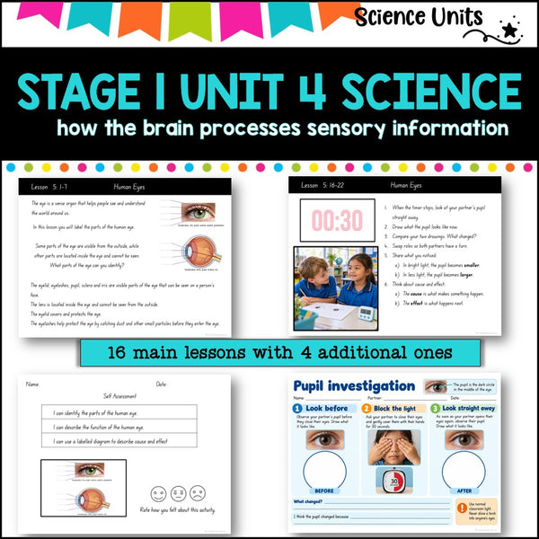 STAGE 1 UNIT 4 NSW aligned SCIENCE-how the brain processes sensory information