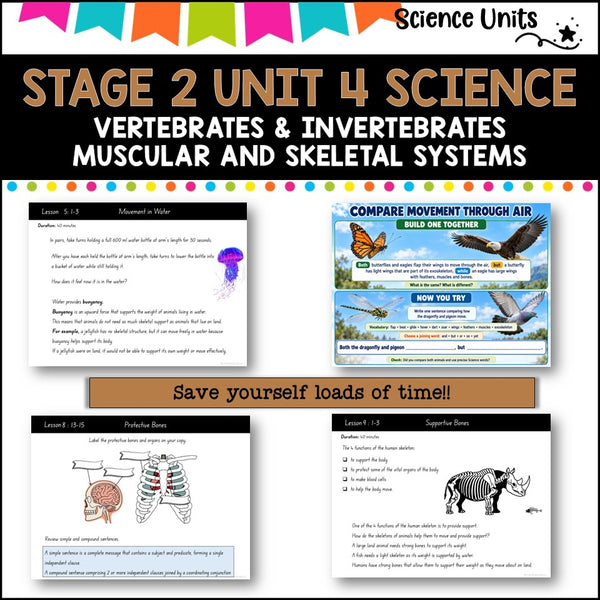 STAGE 2 UNIT 4 NSW SCIENCE 2025 vertebrates & invertebrates, muscle and skeletal