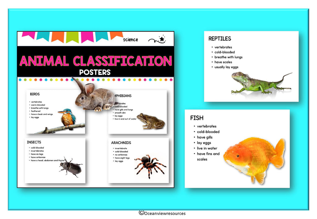 Classification of Animals Posters