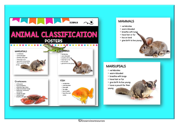 Classification of Animals Posters