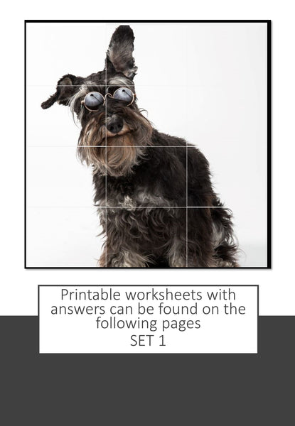 GOOGLE Picture Reveal ADDITION AND SUBTRACTION TO 20 with worksheets (5 sets)