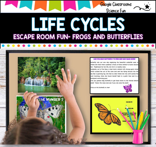 Escape Room - Life Cycles of frogs and butterflies