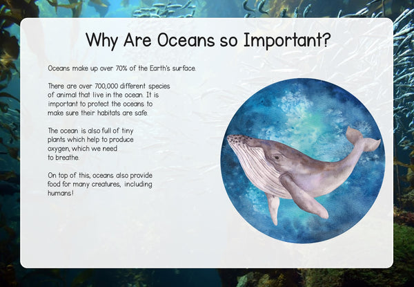 Ocean Unit: A Study of Ocean Animals and Their Habitats