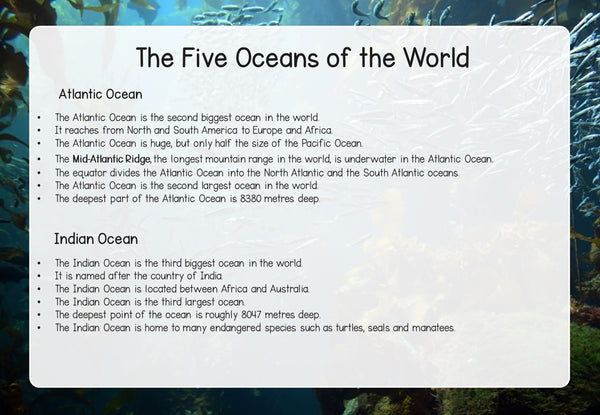 Ocean Unit: A Study of Ocean Animals and Their Habitats