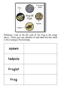 Animals, Habitats and Life Cycles for middle primary students