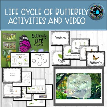 LIFE CYCLE OF BUTTERFLIES  differentiated