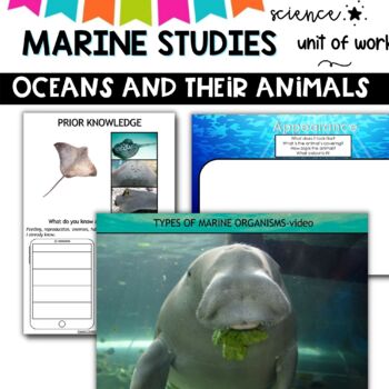 Ocean Unit: A Study of Ocean Animals and Their Habitats