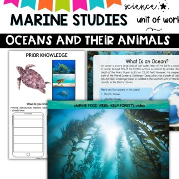 Ocean Unit: A Study of Ocean Animals and Their Habitats